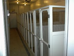 The inside of our dog boarding facility